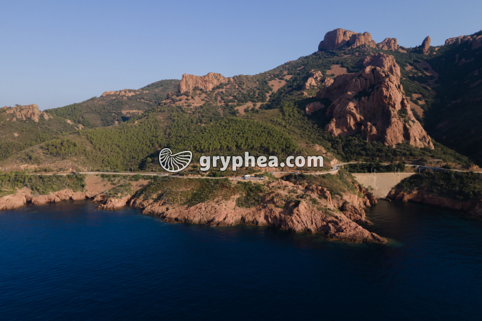 Esterel - affleurement de rhyolite - gryphea.com